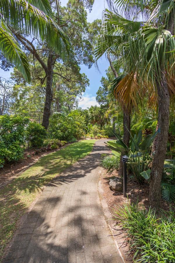 Paradise Grove Holiday Apartments Gold Coast Esterno foto